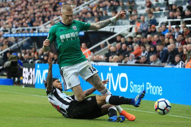 相比公牛 相比公牛