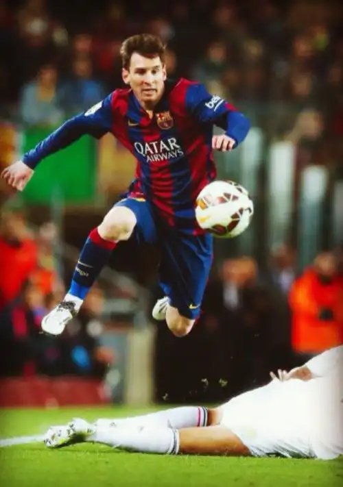 青年培养体 青年培养体