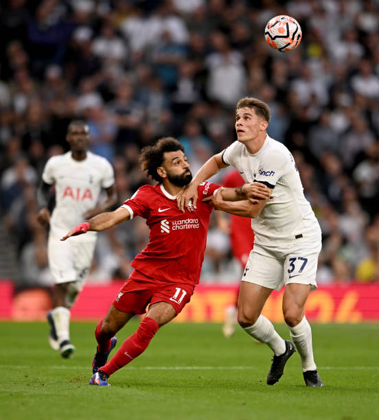 具潜力的后 具潜力的后